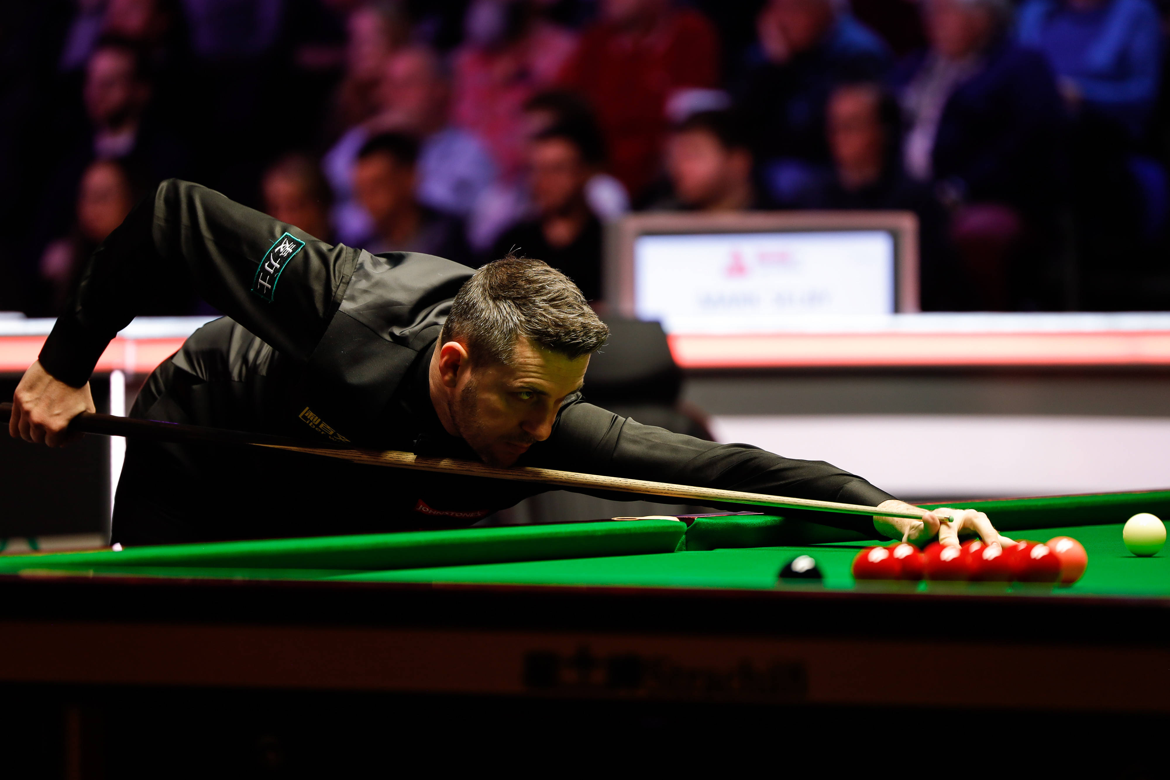 支有稳定体 支有稳定体