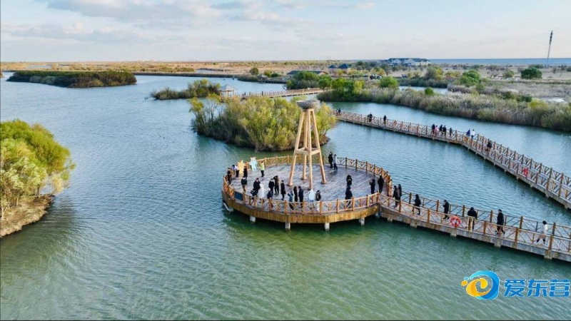 全球粉丝群 全球粉丝群